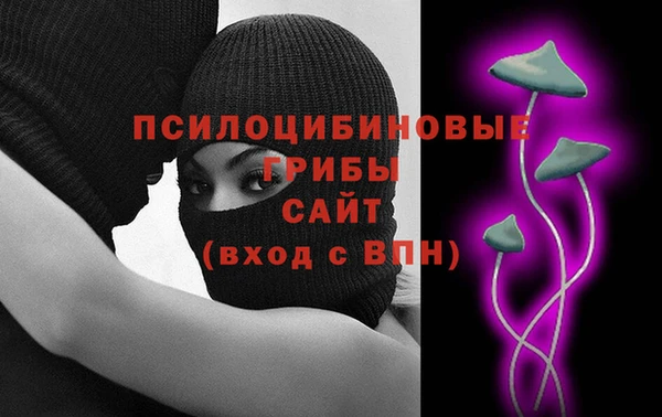 марки nbome Заводоуковск