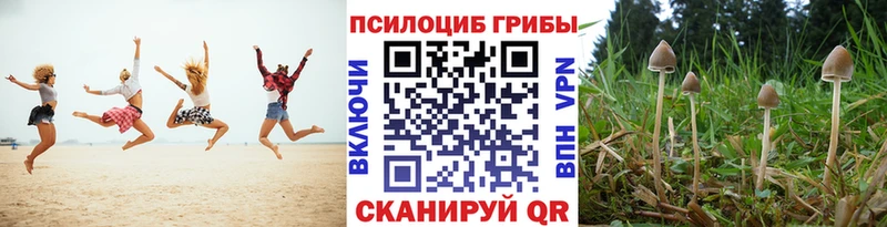 хочу   Жердевка  Псилоцибиновые грибы ЛСД 